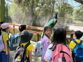 戶外教學--台北市立動物園:台北市立動物園校外教學105