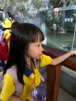 戶外教學--台北市立動物園:台北市立動物園校外教學109