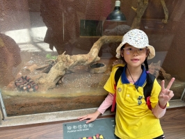 戶外教學--台北市立動物園:台北市立動物園校外教學111