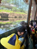 戶外教學--台北市立動物園:台北市立動物園校外教學129