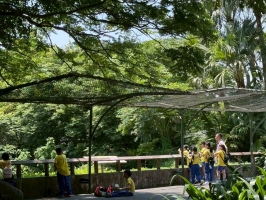 戶外教學--台北市立動物園:台北市立動物園校外教學141