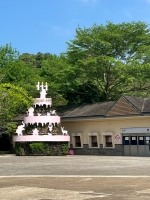 戶外教學--台北市立動物園:台北市立動物園校外教學146