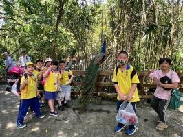戶外教學--台北市立動物園:台北市立動物園校外教學153