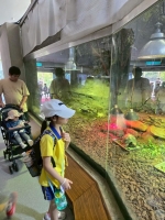 戶外教學--台北市立動物園:台北市立動物園校外教學23