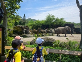 戶外教學--台北市立動物園:台北市立動物園校外教學28