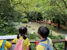 戶外教學--台北市立動物園:台北市立動物園校外教學33