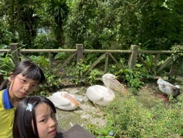 戶外教學--台北市立動物園:台北市立動物園校外教學35