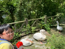 戶外教學--台北市立動物園:台北市立動物園校外教學36