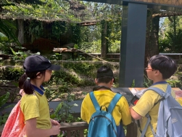 戶外教學--台北市立動物園:台北市立動物園校外教學39