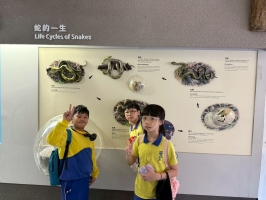 戶外教學--台北市立動物園:台北市立動物園校外教學44