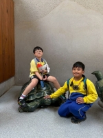 戶外教學--台北市立動物園:台北市立動物園校外教學46