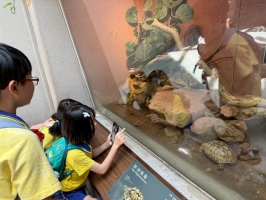 戶外教學--台北市立動物園:台北市立動物園校外教學49