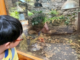 戶外教學--台北市立動物園:台北市立動物園校外教學50