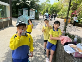 戶外教學--台北市立動物園:台北市立動物園校外教學55