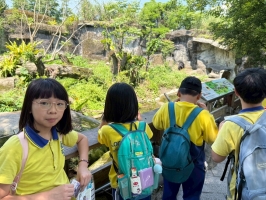 戶外教學--台北市立動物園:台北市立動物園校外教學64