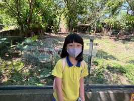 戶外教學--台北市立動物園:台北市立動物園校外教學69