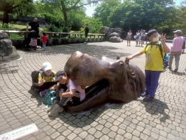 戶外教學--台北市立動物園:台北市立動物園校外教學75