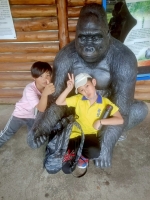 戶外教學--台北市立動物園:台北市立動物園校外教學77