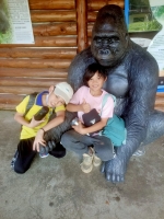 戶外教學--台北市立動物園:台北市立動物園校外教學79