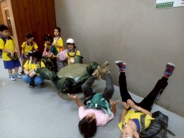 戶外教學--台北市立動物園:台北市立動物園校外教學81