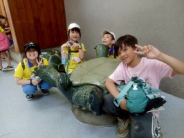 戶外教學--台北市立動物園:台北市立動物園校外教學82