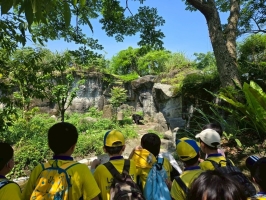戶外教學--台北市立動物園:台北市立動物園校外教學9